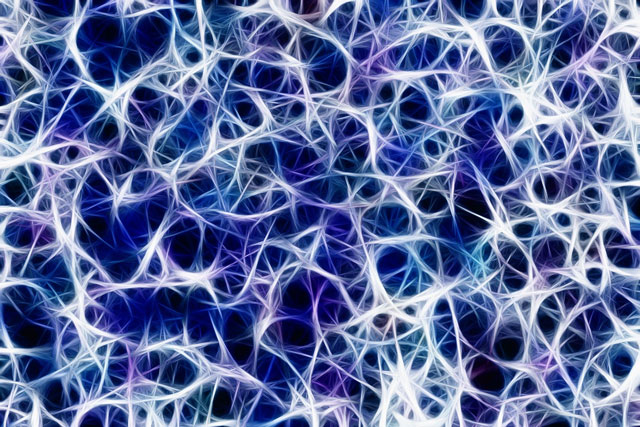 neurons